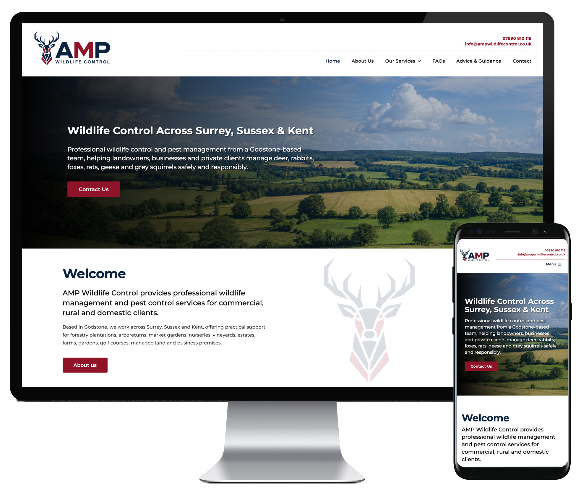 AMP Wildlife Control website